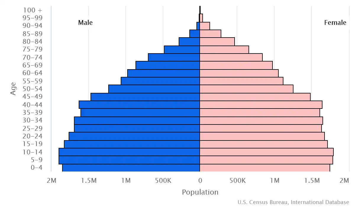 Chart graphic of the age pyramid of Argentina