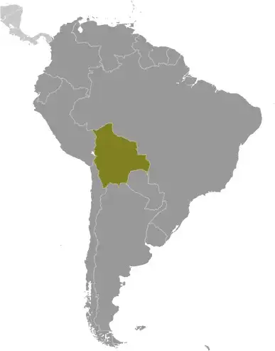 Locator Map of Bolivia showing the country on the continent in color
