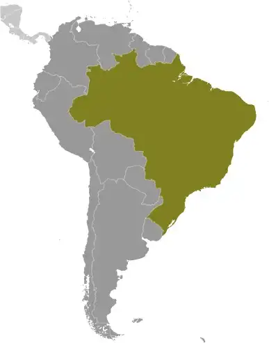 Locator Map of Brazil showing the country on the continent in color