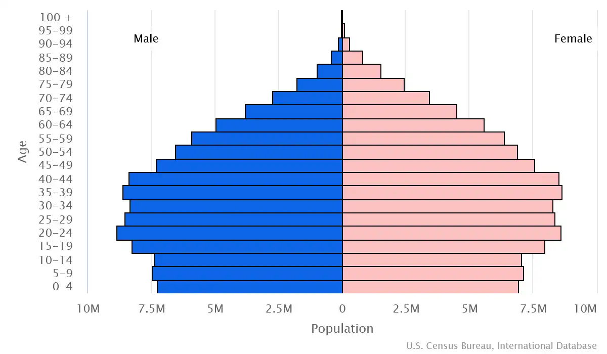 Chart graphic of the age pyramid of Brazil