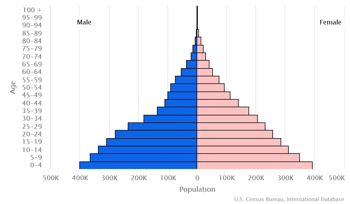 Chart graphic of the age pyramid of none