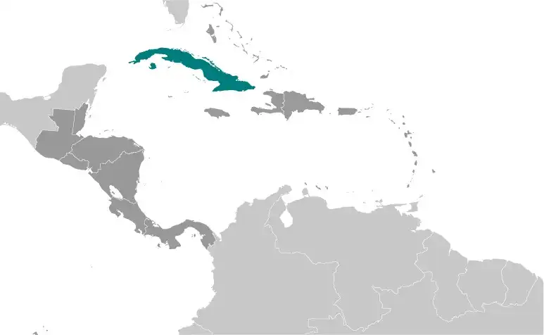 Locator Map of Cuba showing the country on the continent in color