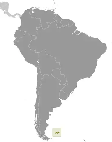 Locator Map of Falkland Islands (Islas Malvinas) showing the country on the continent in color