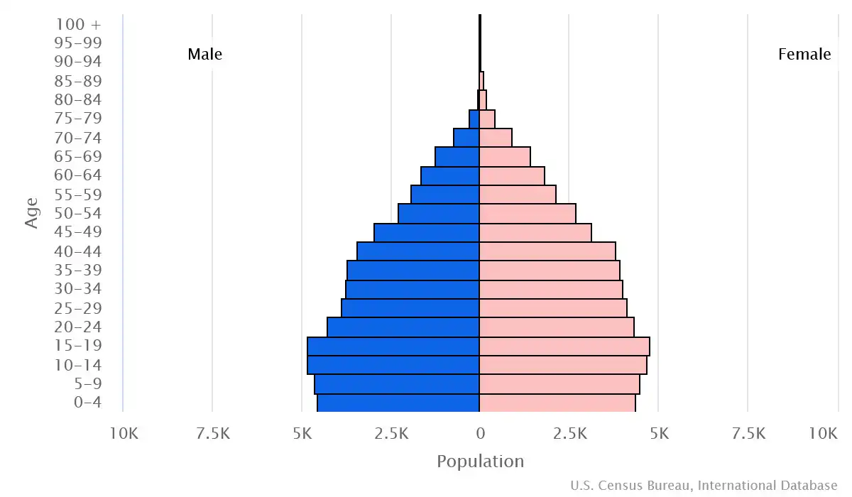 Chart graphic of the age pyramid of none