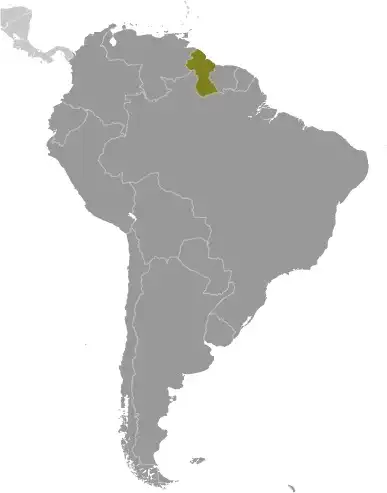 Locator Map of Guyana showing the country on the continent in color