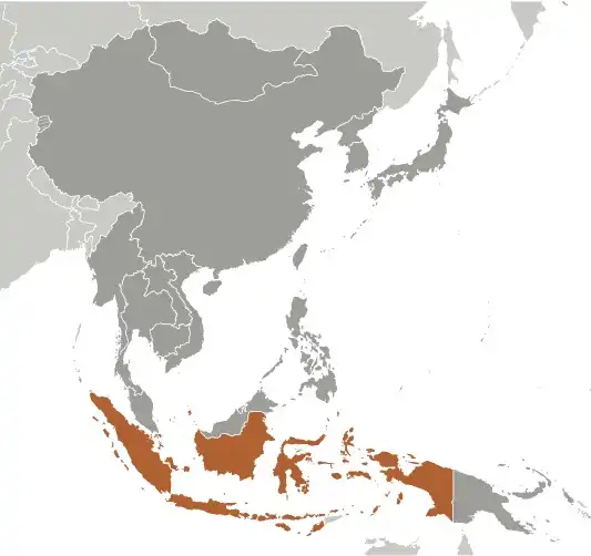 Locator Map of Indonesia showing the country on the continent in color