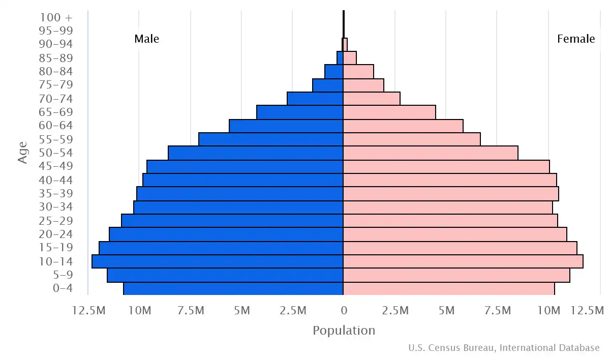 Chart graphic of the age pyramid of Indonesia