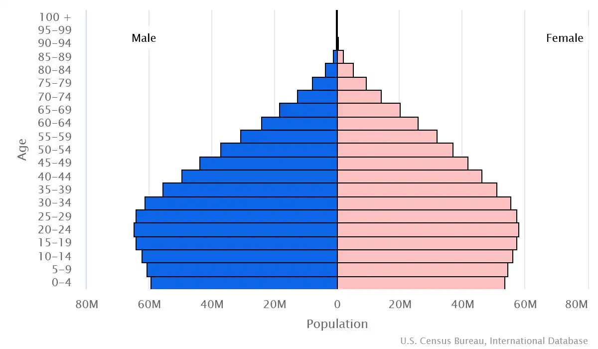 Chart graphic of the age pyramid of India