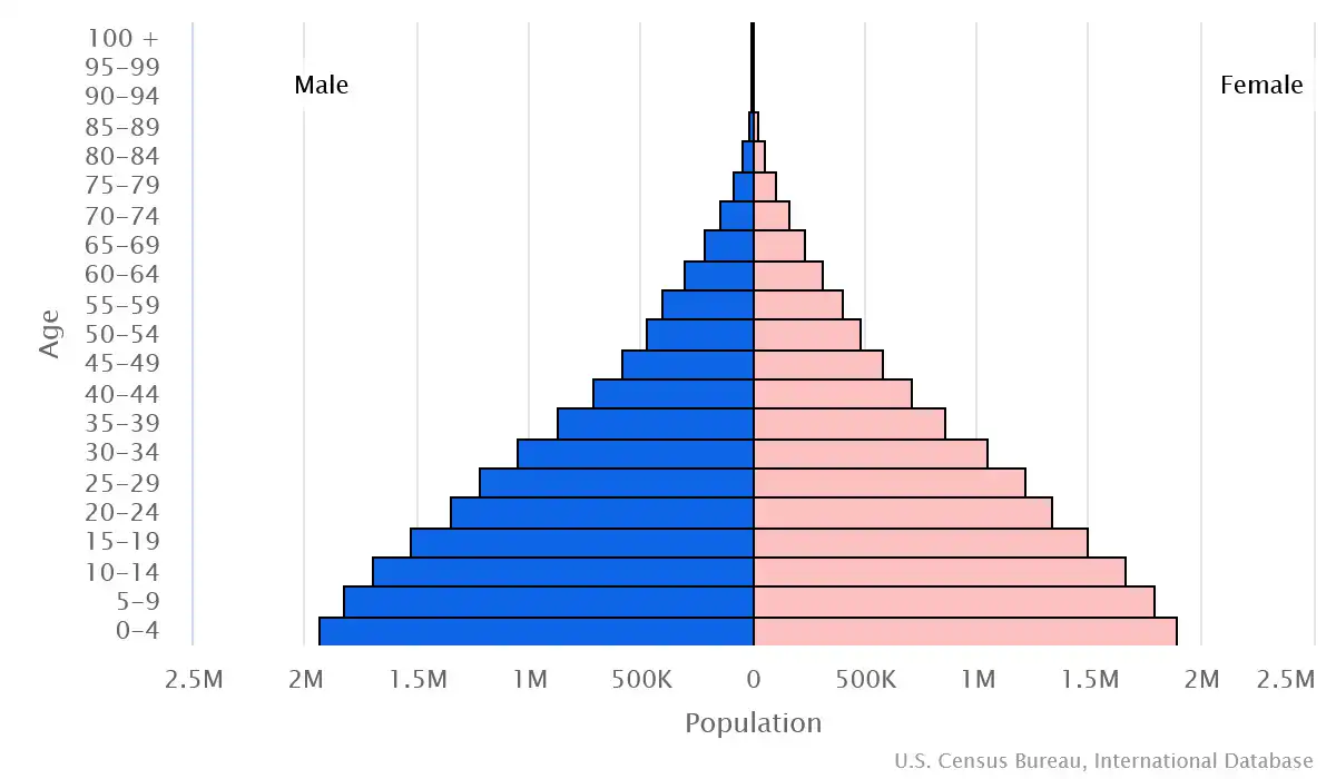 Chart graphic of the age pyramid of Madagascar