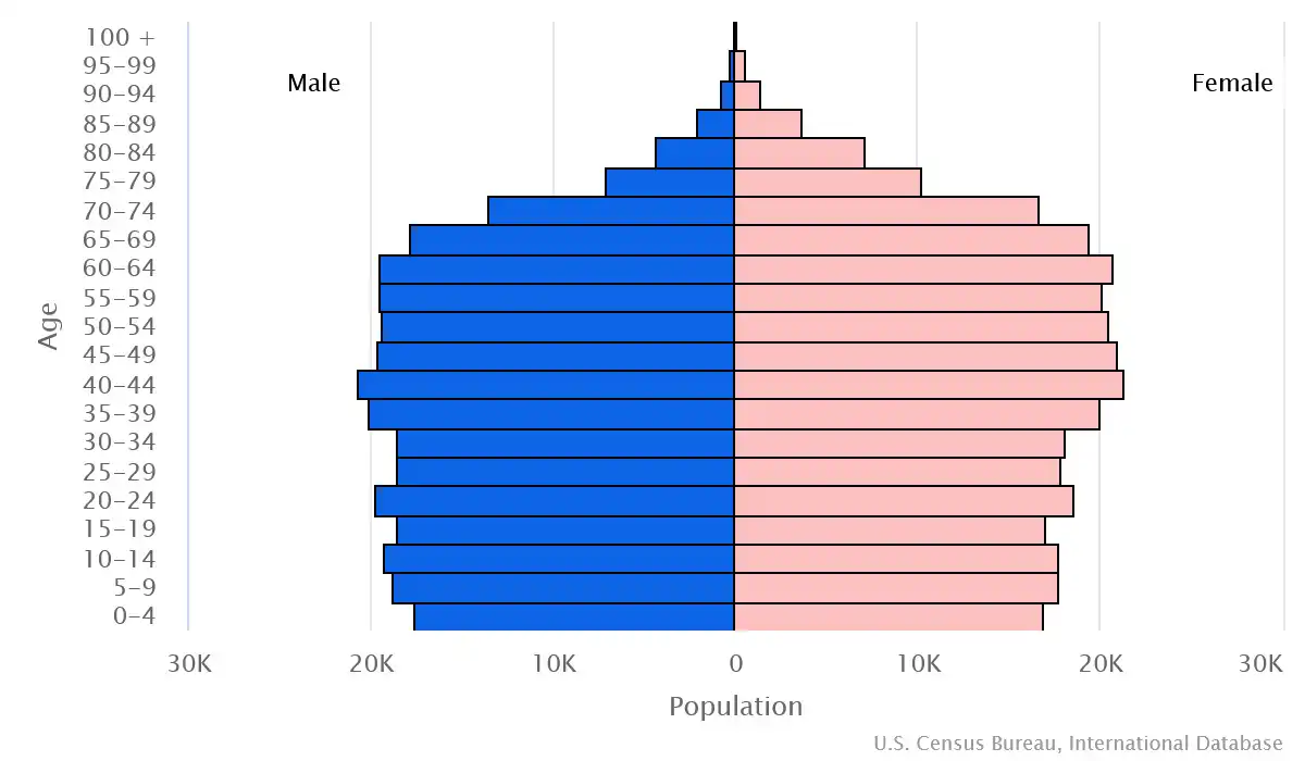 Chart graphic of the age pyramid of Montenegro