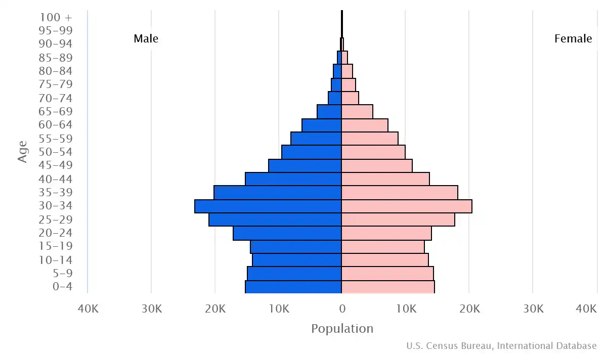 Chart graphic of the age pyramid of Maldives