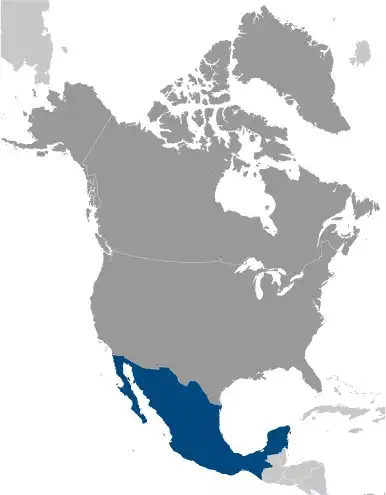 Locator Map of Mexico showing the country on the continent in color