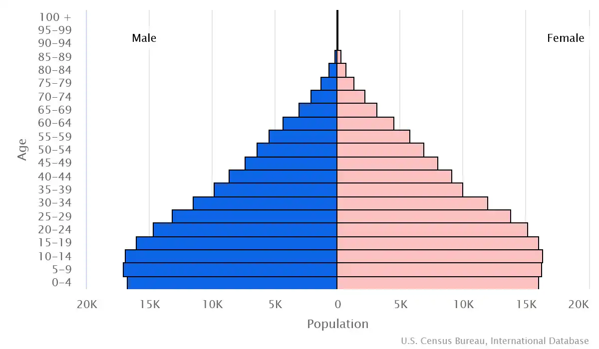 Chart graphic of the age pyramid of Vanuatu