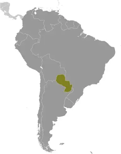 Locator Map of Paraguay showing the country on the continent in color