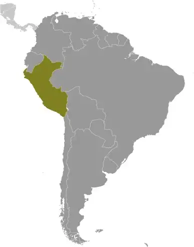 Locator Map of Peru showing the country on the continent in color