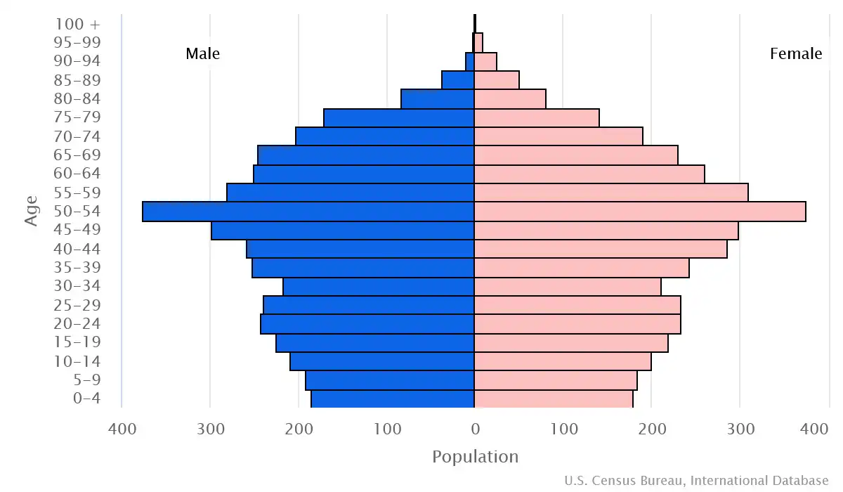 Chart graphic of the age pyramid of none