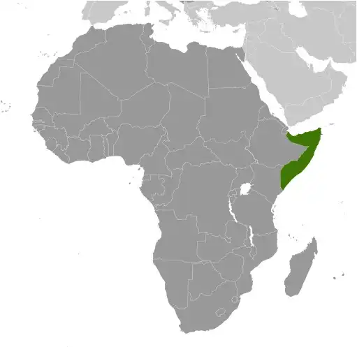Locator Map of Somalia showing the country on the continent in color