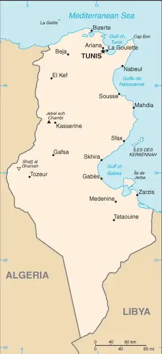 Tunisia Map graphic showing major cities and names of neighboring countries