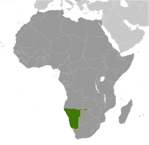 Locator Map of Namibia showing the country on the continent in color