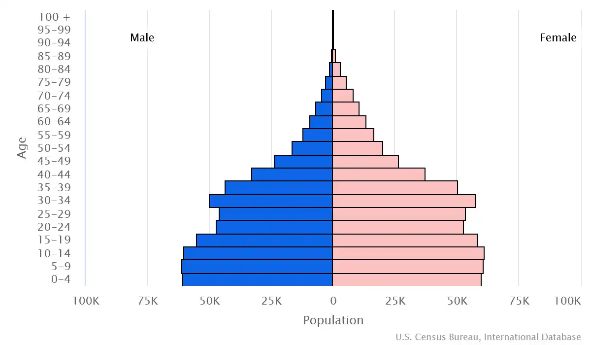 Chart graphic of the age pyramid of Eswatini