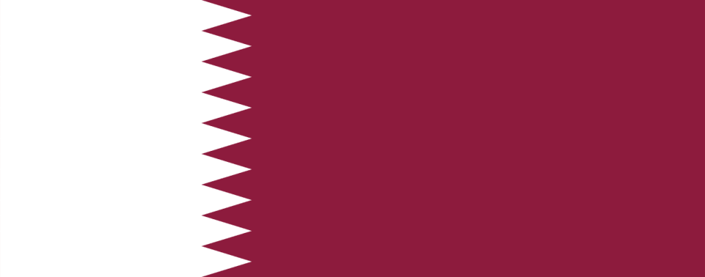 QATAR COUNTRY PROFILE visual data 5
